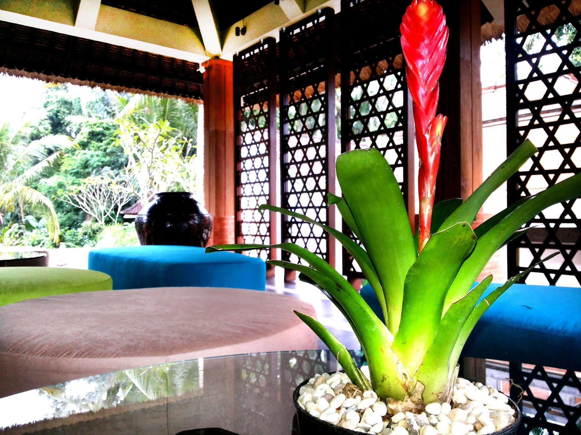 Full Moon Villa Ubud Zewnętrze zdjęcie